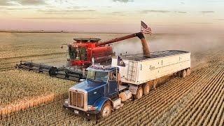 Welker Farms 2016  Part 3  Harvest [upl. by Rohn]