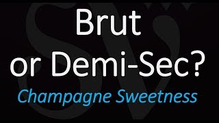 Whats the Difference between Brut and DemiSec Champagne Sparkling Wine Cava Prosecco [upl. by Htederem]