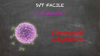 SVT FACILE  1ère spé  Limmunité adaptative [upl. by Soble]