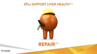 Essentiale® Extreme  Essential Phospholipids EPLs [upl. by Asila]