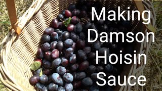 Making Damson Hoisin Sauce [upl. by Gulgee]