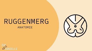 Ruggenmerg [upl. by Nnire]