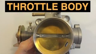 Throttle Body  Explained [upl. by Aieki29]