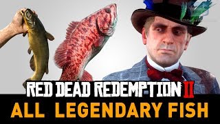 Red Dead Redemption 2 All Legendary Fish A Fisher of Fish [upl. by Nilyad503]