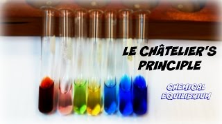 AP Chemistry Investigation 13 Le Châteliers Principle [upl. by Dugaid298]