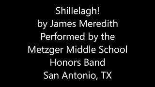 Shillelagh by James Meredith [upl. by Cirederf879]