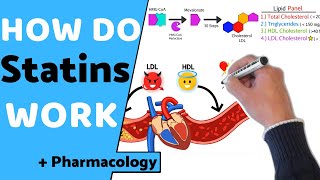 How do Statins Work  Pharmacology [upl. by Ligetti433]