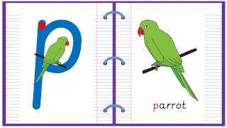 Lowercase Alphabet Letter P Learn to Read and Write [upl. by Janenna]