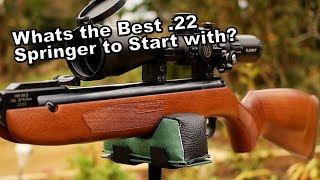 Weihrauch HW99S  Best 22 Inexpensive Beginner Airgun  IMO [upl. by Hendricks]