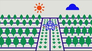 Agroforesterie  quand la nature devient rentable [upl. by Ezana952]