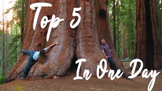 PERFECT Day In Sequoia NP  TOP 5 to do in ONE DAY [upl. by Namdor]