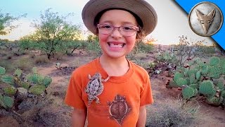 Horned Lizards in Our Backyard [upl. by Menedez]