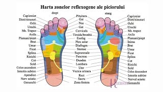 10 Puncte de presopunctura pentru dureri si alte probleme de sanatate [upl. by Ariec737]