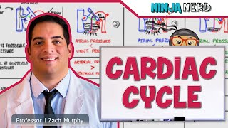 Cardiovascular  Cardiac Cycle [upl. by Akemahs683]