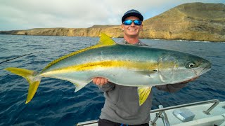 HUGE California Yellowtail Catch Clean Cook California Deep Sea Island Fishing [upl. by Buyse]