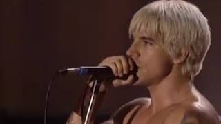 RED HOT CHILI PEPPERS  Californication live in Woodstock [upl. by Enomaj]