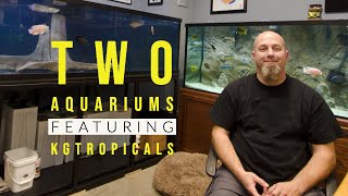 Johns TWO Custom Aquariums Displays [upl. by Nettie]