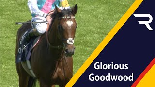 FRANKEL makes the 2012 Sussex Stakes a onehorse race  Glorious Goodwood  Racing TV [upl. by Aneri]