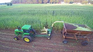 Chopping small grain and corn silage [upl. by Reinnej]