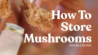 How to Store Shrooms  DoubleBlind [upl. by Artened]