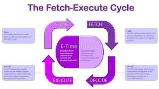 The Fetch Execute Cycle [upl. by Kuehn]