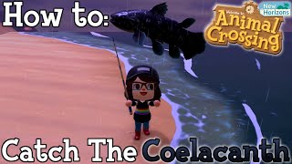 How to Catch the Coelacanth in Animal Crossing New Horizons [upl. by Pinchas]