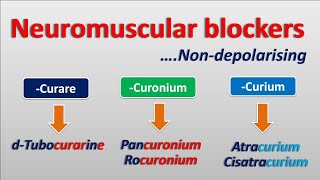 Nondepolarising Neuromuscular blockers  Mechanism actions amp side effects [upl. by Terb901]