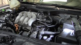 VW Engine Noise Diagnosis BONUS VIDEO [upl. by Erialc]