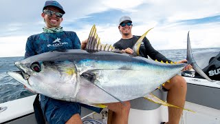 Monster Yellowfin Tuna [upl. by Fabio597]