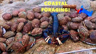 Amazing COASTAL FORAGING Day  Abalone amp Lobsters  Abalone Burgers on a bunker [upl. by Jardena706]