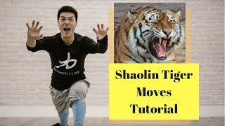 Shaolin Tiger Style  Tiger Hunting  Tutorial  kungfulife [upl. by Waltner]