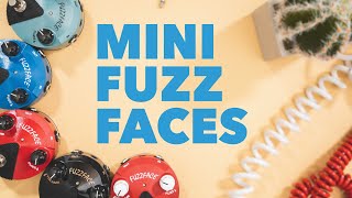 Why Dunlop Mini Fuzz Faces Are Awesome [upl. by Irrehs947]