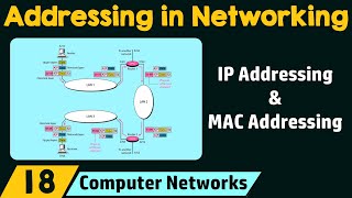 Addressing in Networking [upl. by Ase979]