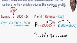 Optimization  Maximum Profit [upl. by Ayana45]