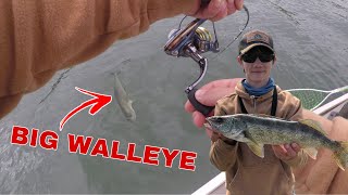 Catching Walleye at Pymatuning on Flicker Shads [upl. by Jankey435]