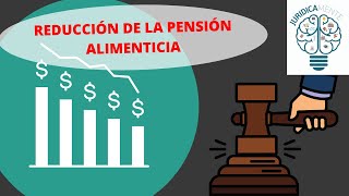 REDUCCIÓN DE LA PENSIÓN ALIMENTICIA [upl. by Atiras410]