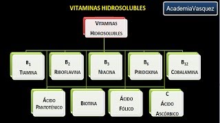 Vitaminas hidrosolubles Vitamina B1 o Tiamina [upl. by Dorcea88]