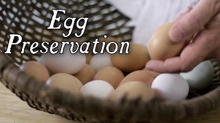 The Top 6 Historical Egg Preservation Techniques [upl. by Rosalee850]