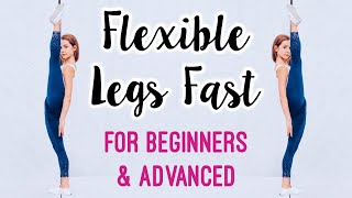 Get Flexible Legs Stretches for Leg amp Hip Flexibility [upl. by Notlem]