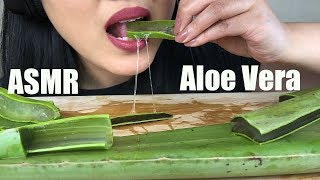 ASMR ALOE VERA CHALLENGE  Sticky and Crunchy Eating Sounds  No Talking  ASMR Phan [upl. by Ahsetan929]