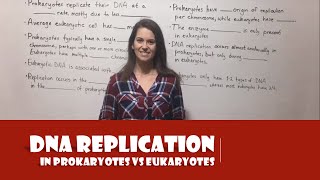 DNA Replication in Prokaryotes vs Eukaryotes [upl. by Robinson]