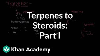 From terpenes to steroids part 1 Terpenes  Endocrine system physiology  NCLEXRN  Khan Academy [upl. by Catlin]