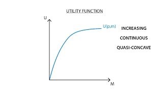 A1 Utility function  Consumption  Microeconomics [upl. by Leuqer]