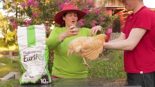 How to cure mites and ticks on chickens [upl. by Valaree183]