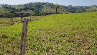 SITIO A VENDA DE 1452hectares em São Sebastião do Paraíso MG [upl. by Akeylah371]