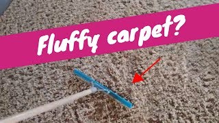 How to Fluff Carpet  Rendalls Cleaning [upl. by Lochner]