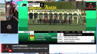 Gulfstream amp Aqueduct Live Stream Races [upl. by Leiru]