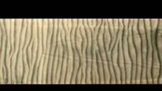 Dynamics of Wave Ripples [upl. by Sucramed]