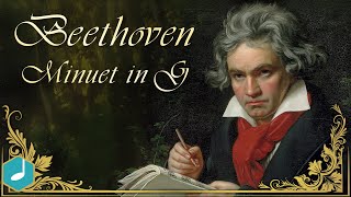 Beethoven  Minuet in G [upl. by Ilujna]