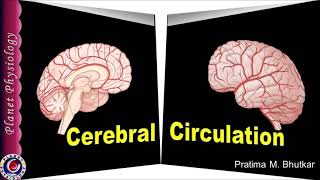 Cerebral Perfusion Pressure and Cerebral Autoregulation [upl. by Kallista460]